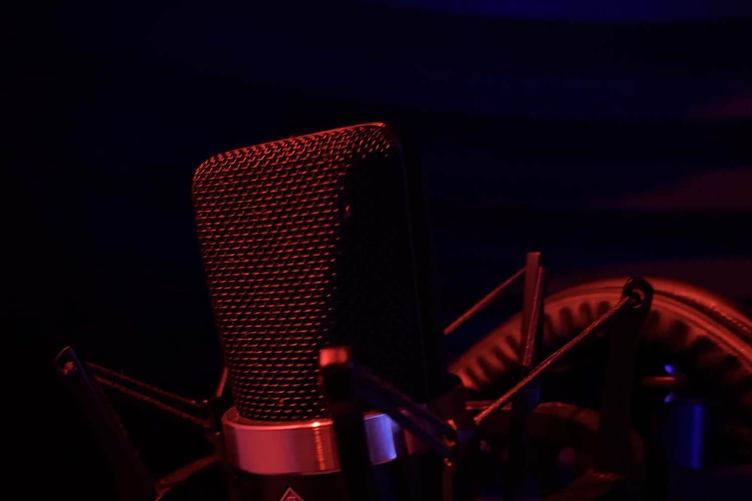 Neumann TLM 102 condenser microphone in a shock mount inside the vocal booth